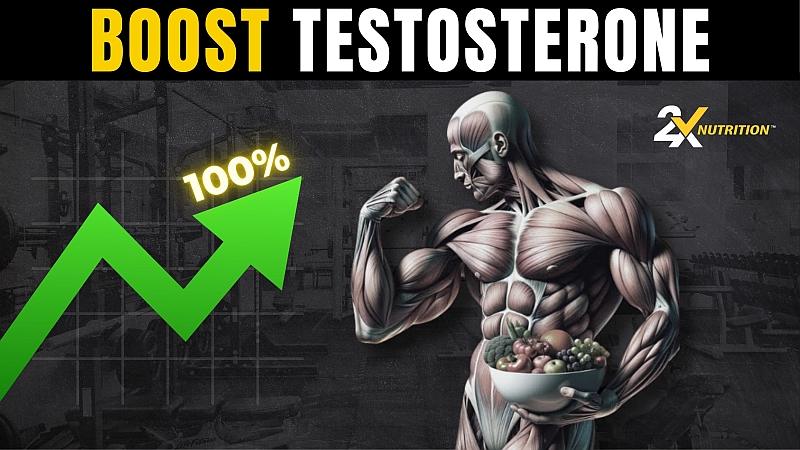 Boost Testosterone Levels Naturally - 2X Nutrition