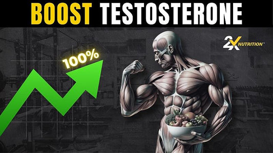 Boost Testosterone Levels Naturally - 2X Nutrition