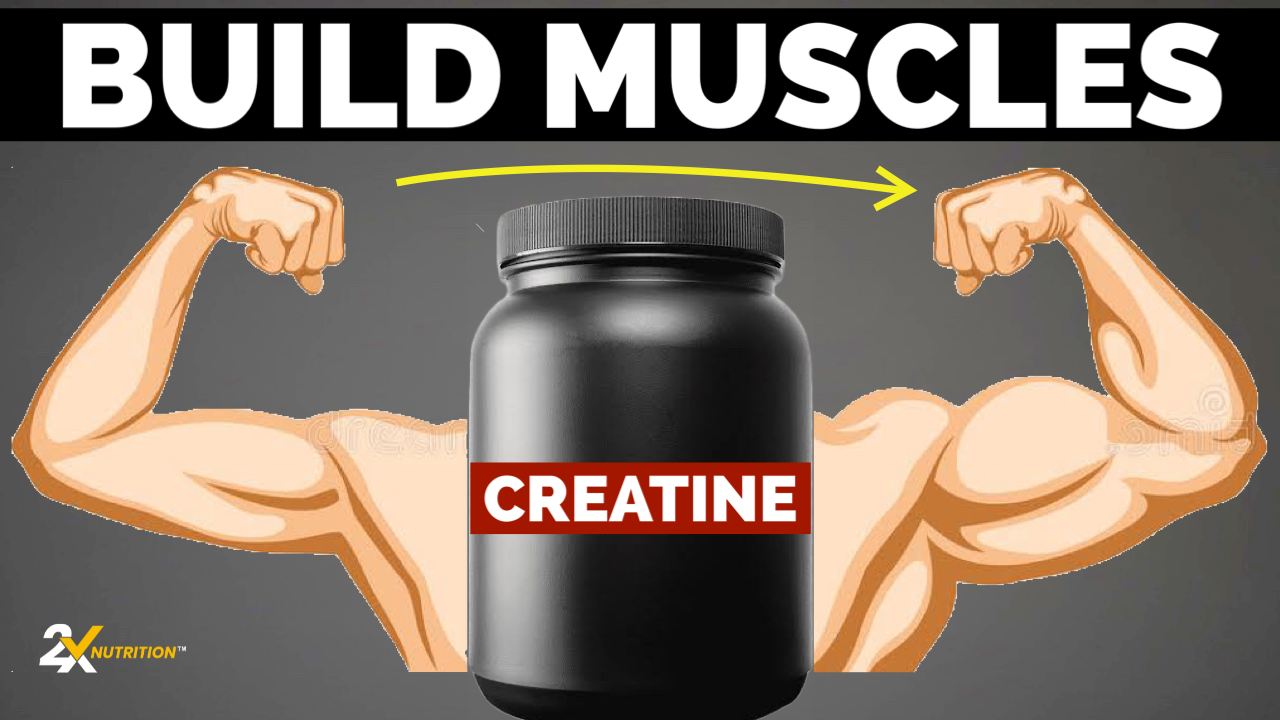 Creatine: Best Supplement For Muscle Building