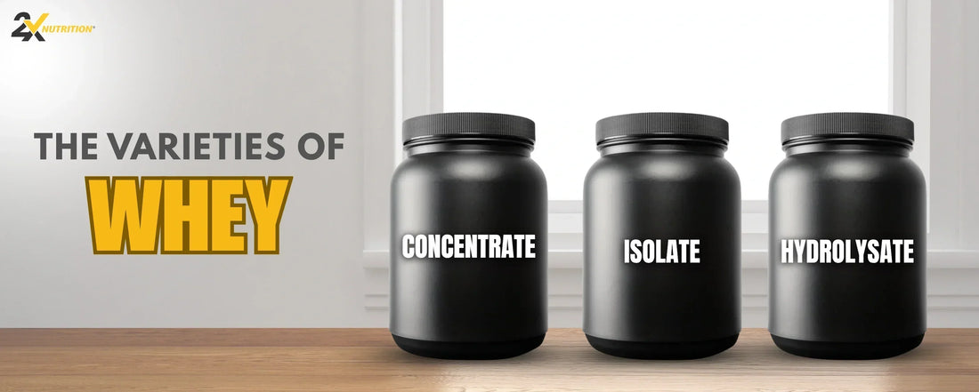 The Three Main Types: Whey (Concentrate) vs Whey Isolate vs Whey Hydrolysate