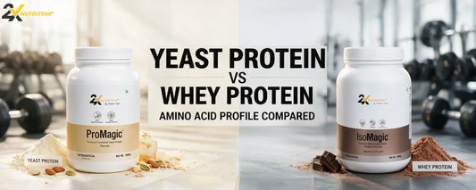 Fermented Protein vs Whey Isolate: Amino Acid Profile Compared