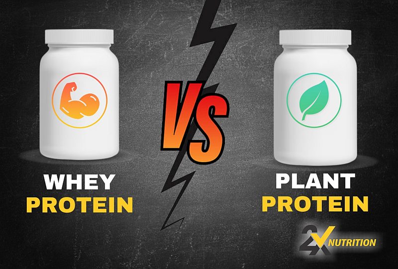 Whey Protein vs Plant-Based Protein: Which is Better for You? - 2X Nutrition