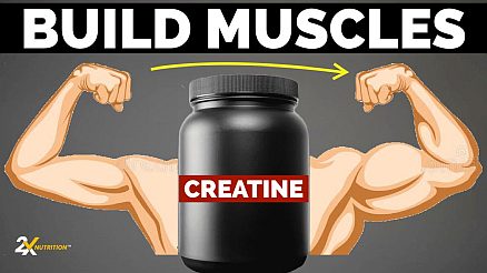 Creatine: Best Supplement For Muscle Building - 2X Nutrition