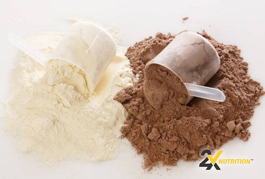 High Protein Mass Gainers vs. Regular Protein Supplements: Which is Right for You - 2X Nutrition