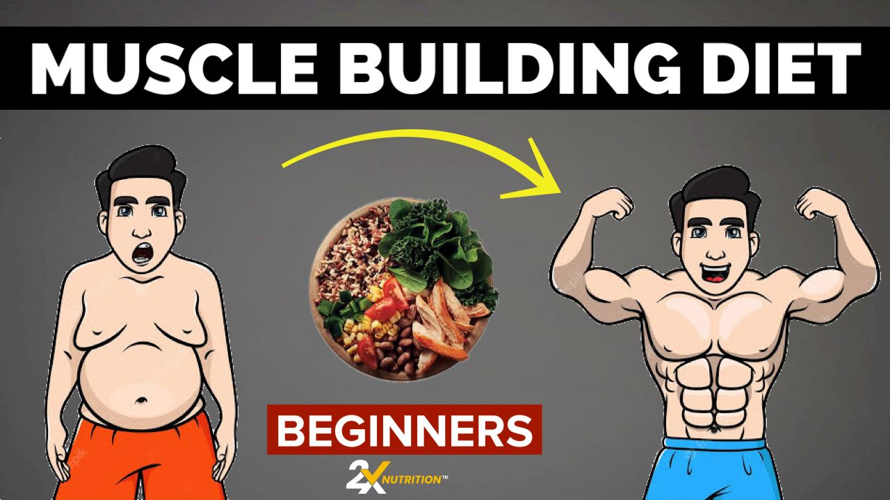 Beginner Friendly Muscle Building Diet